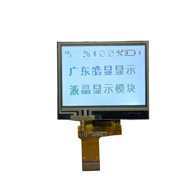 CC12864W03T1243E